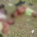 PointBlur Oct312022 111535