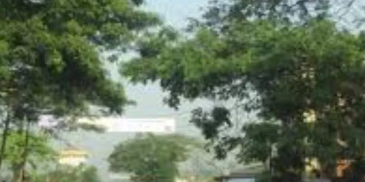 IMG 20221101 WA0112