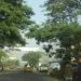IMG 20221101 WA0112
