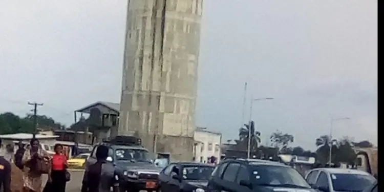 IMG 20221117 WA0036