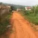 IMG 20221128 WA0030