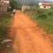IMG 20221129 WA0044