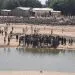 IMG 20221207 WA0129