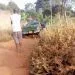 IMG 20221208 WA0110
