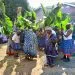 IMG 20221215 WA0072