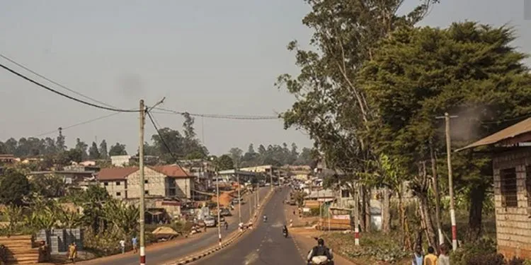 IMG 20221228 WA0021
