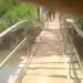 IMG 20221201 113539