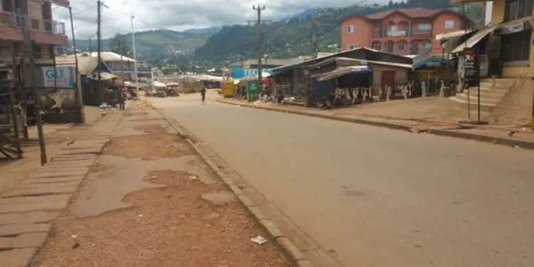 Cameroun 1