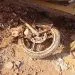 IMG 20230105 WA0055