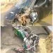 IMG 20230109 WA0094
