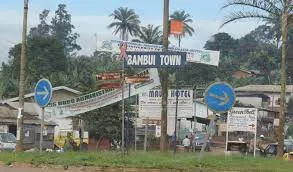 IMG 20230110 WA0083