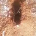 IMG 20230110 WA0098