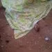 IMG 20230118 WA0093