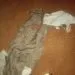 IMG 20230122 WA0042