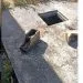 IMG 20230127 WA0176