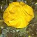 IMG 20230216 WA0077