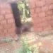 IMG 20230227 WA0166