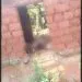 IMG 20230228 WA0005