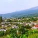 Buea 780x440 1