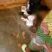 IMG 20230311 WA0064