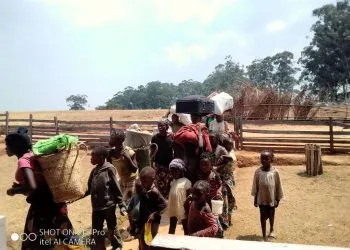 IMG 20230314 WA0023