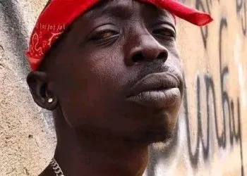 Tupacc