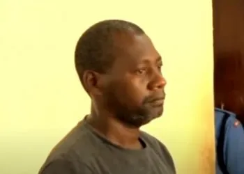 0 Cult Members Starve To Death In Rescue From Forest Where Theyd Been Brainwashed Into Fasting