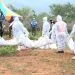 APTN Cult Bodies 9ipi5a