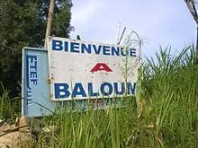 IMG 20230411 WA0014