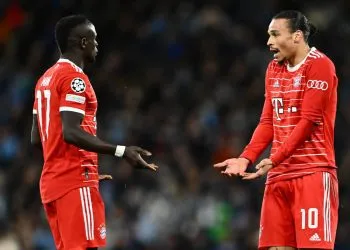Mane And Sane