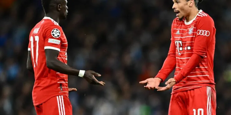 Mane And Sane