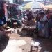 Accassia 2