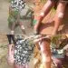 Separatists target women in Kedjom Keku