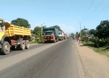 Bomono