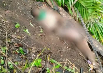 Buea Young girl found murdered