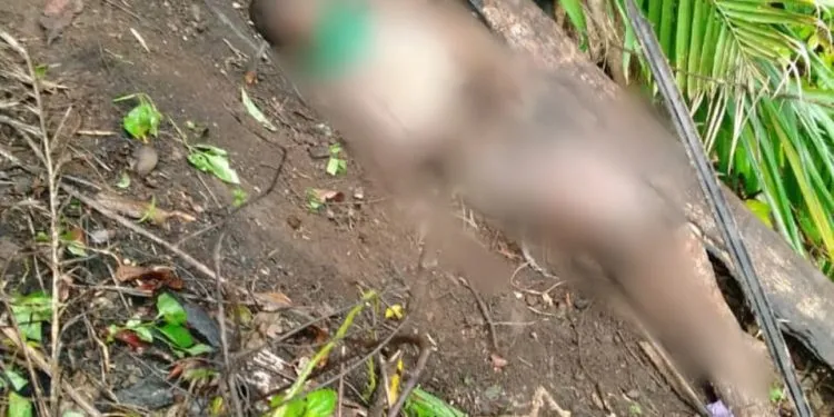 Buea Young girl found murdered