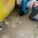 IMG 20230511 WA0063