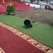 Explosive device Buea national Unity day