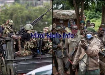 Civilians in Cameroon caught in the middle of the excesses between the Military and Separatists