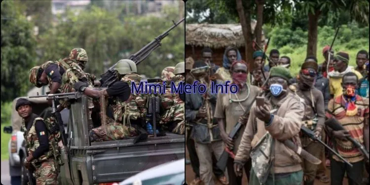 Civilians in Cameroon caught in the middle of the excesses between the Military and Separatists