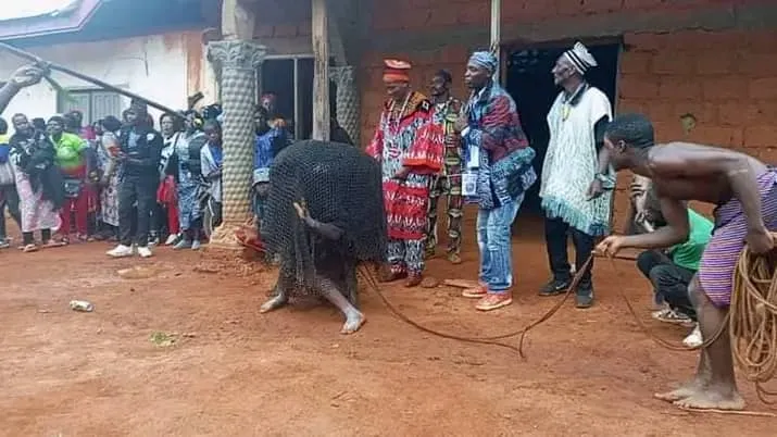 Nzeen Festival
