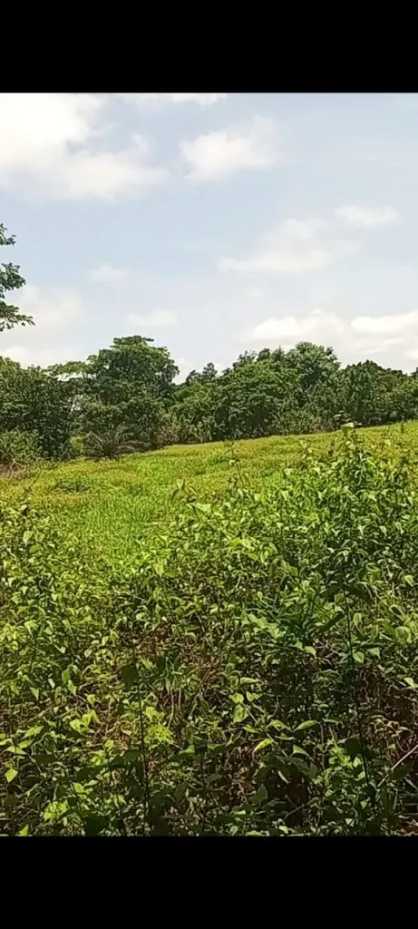 Schools in Kembong abaondoned