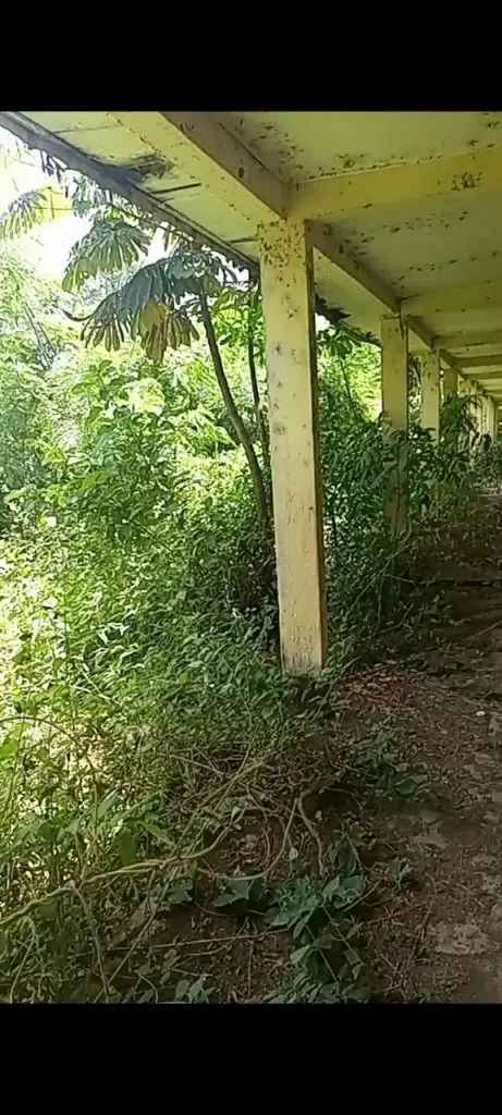 Schools in Kembong abaondoned