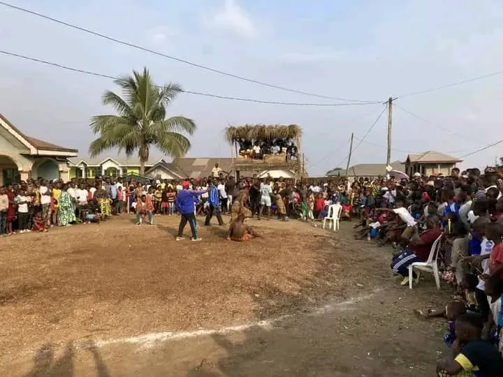 Pala Pala Wrestling Buea