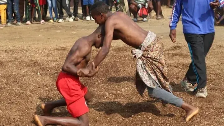 Pala Pala Wrestling Buea