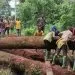 Epen Bajor in Kupe-Muanenguba division