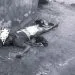 Man Dead