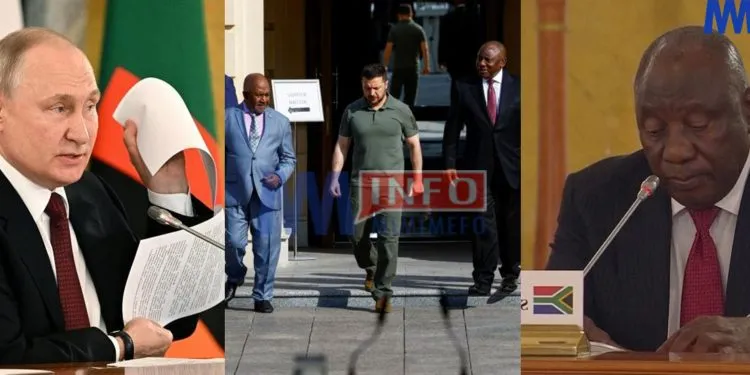 African leaders seeking to mediate Russia-Ukraine conflict