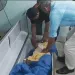 Ecuadorean woman found to be alive at her funeral