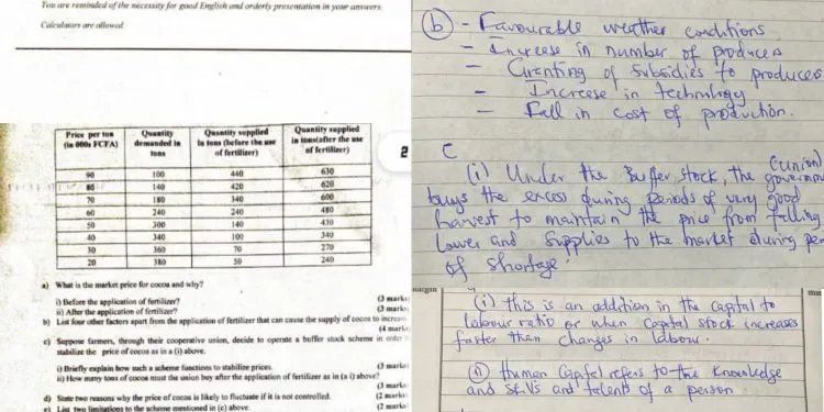 Sanctions after leakages in 2023 GCE, Cameroon
